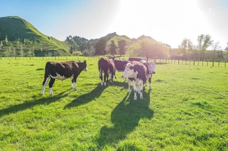 Photo of property in 81 Mangawhero Road, Mangamahu, Whanganui, 4577