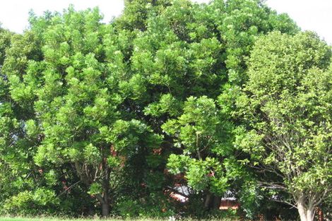 Photo of property in 83 Hobsonville Road, West Harbour, Auckland, 0618