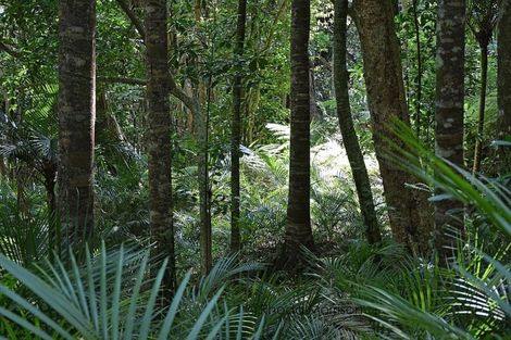 Photo of property in 435 Heatley Road, Whakapirau, 0583