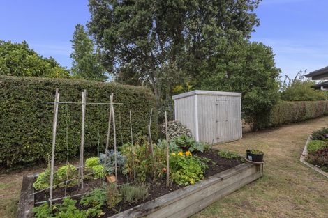 Photo of property in 160b One Tree Point Road, One Tree Point, 0118