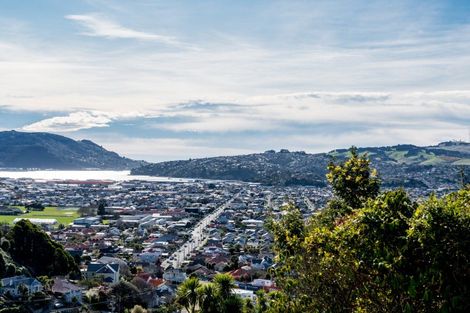 Photo of property in 54 Ravenswood Road, Saint Clair, Dunedin, 9012