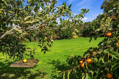 Photo of property in 248 Blackbridge Road, Dairy Flat, Albany, 0794