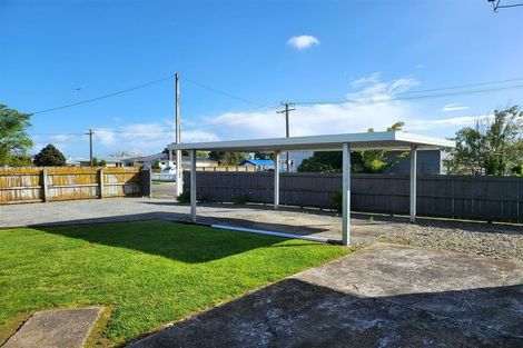 Photo of property in 17 Maire Street, Levin, 5510