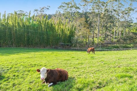 Photo of property in 11 Pineview Lane, Helensville, 0875