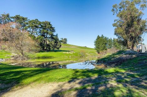 Photo of property in 453 Tetley Brook Road, Seddon, 7285