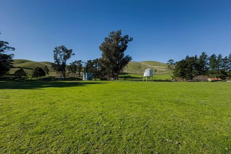 Photo of property in 453 Tetley Brook Road, Seddon, 7285