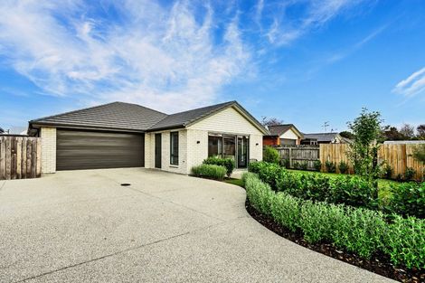 Photo of property in 17b Bullar Street, Grasmere, Invercargill, 9810