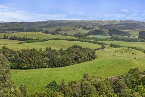 Photo of property in 201c Checkley Road, Raglan, 3295