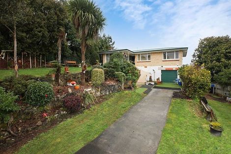 Photo of property in 117 Tirau Street, Putaruru, 3411