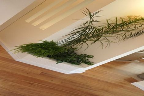 Photo of property in 33 Cassandra Street, Stratford, 4332