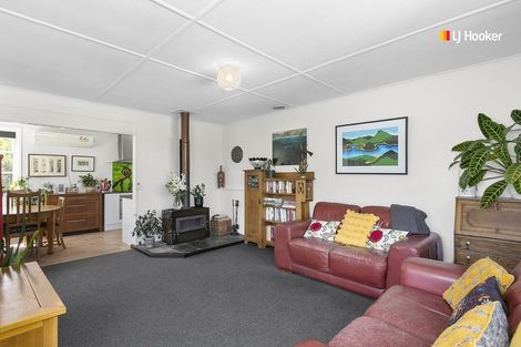 Photo of property in 4 Panmure Avenue, Calton Hill, Dunedin, 9012