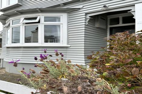 Photo of property in 11 Caroline Street, Mount Victoria, Wellington, 6011