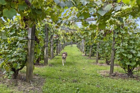 Photo of property in 126 Travers Road, Te Kauwhata, 3782