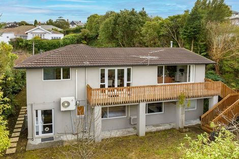 Photo of property in 45 Leven Street, Roslyn, Dunedin, 9010