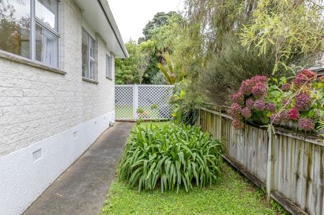 Photo of property in 36 York Street, Levin, 5510