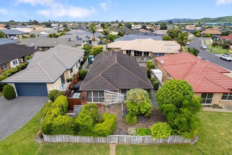 Photo of property in 14b Rosberg Place, Mount Maunganui, 3116