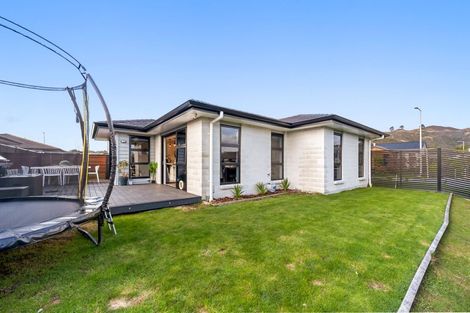 Photo of property in 42 Buddle Road, Wallaceville, Upper Hutt, 5018