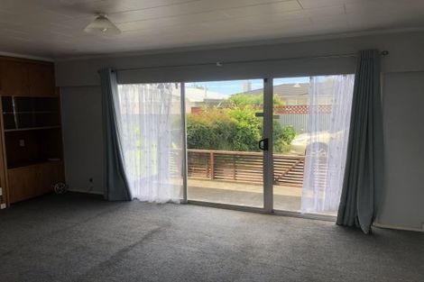 Photo of property in 602b Ballantyne Street, Frimley, Hastings, 4120