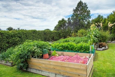 Photo of property in 306 Downs Road, Geraldine Downs, Geraldine, 7991