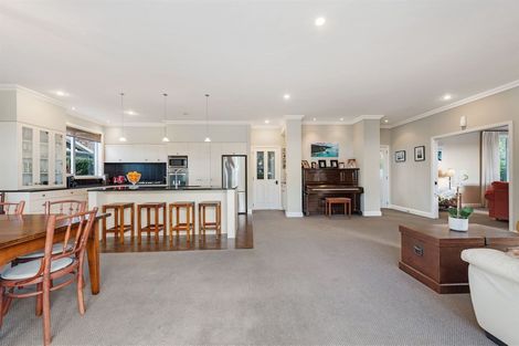 Photo of property in 137 Carmichael Road, Bethlehem, Tauranga, 3110