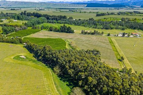 Photo of property in 191 Tyntesfield Road, Waihopai Valley, Blenheim, 7276