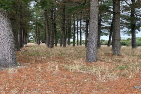 Photo of property in 126 Norfolk Road, Waingawa, Carterton, 5791