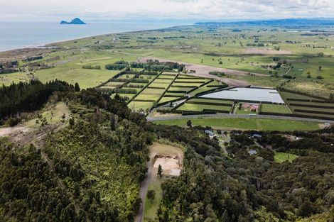 Photo of property in 207 Kokako Heights, Matata, 3194