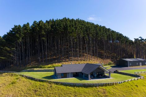 Photo of property in 63 Aldred Road, Karioitahi, Waiuku, 2683