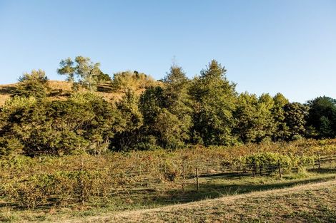 Photo of property in 160a Twilight Road, Clevedon, 2582