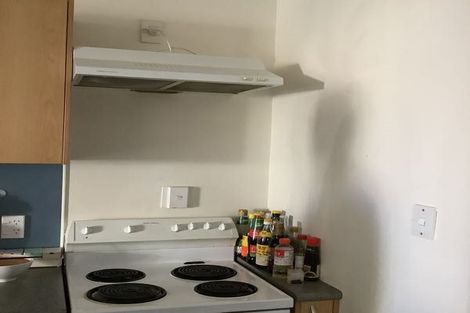 Photo of property in 223c The Terrace, Wellington Central, Wellington, 6011