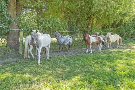 Photo of property in 55 Turiwhaia Road, Tuahiwi, Kaiapoi, 7691