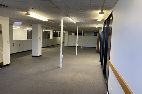 Photo of property in 22 Raroa Road, Kelburn, Wellington, 6012