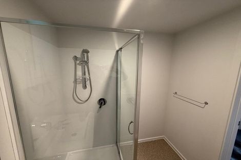 Photo of property in 38 Peter Street, Caversham, Dunedin, 9012