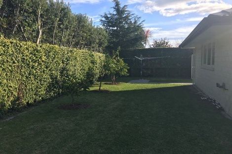 Photo of property in 35 Dayna Avenue, Ohauiti, Tauranga, 3112