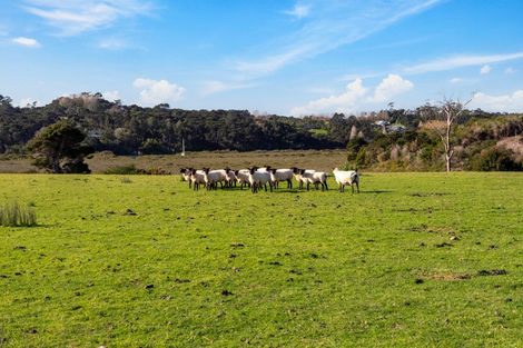 Photo of property in 167 Lennon Access Road, Stillwater, Silverdale, 0993