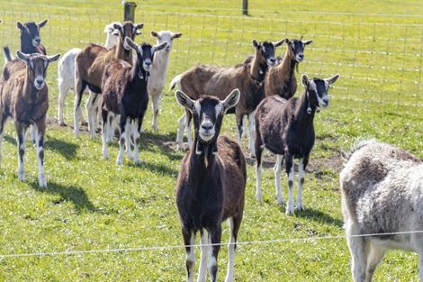 Photo of property in 2708 South Eyre Road, Eyrewell, Rangiora, 7476