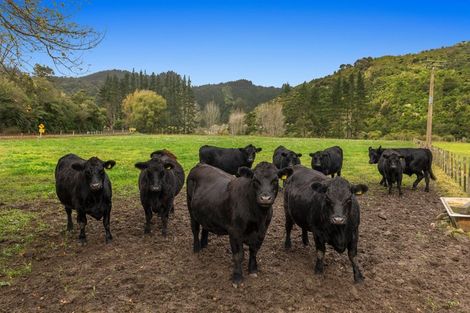 Photo of property in 258 State Highway 2 East, Waimana, 3198