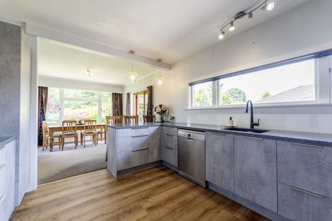 Photo of property in 101 Mckenzie Street, Geraldine, 7930