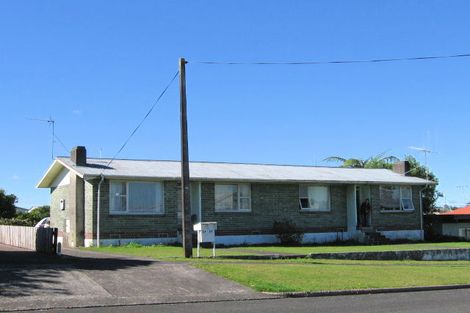 Photo of property in 1 Cambridge Street, Putaruru, 3411