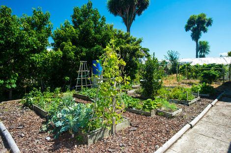 Photo of property in 7 Whitmore Road, Ormond, Gisborne, 4071