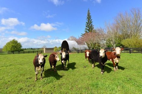 Photo of property in 596 Horsham Downs Road, Horsham Downs, Hamilton, 3281