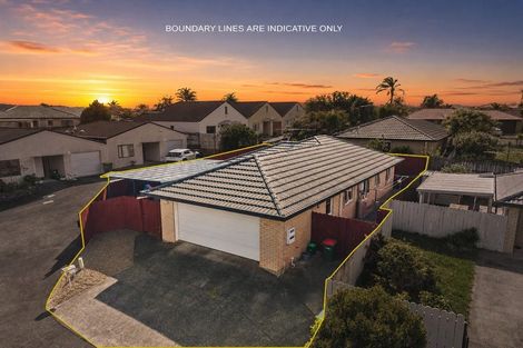 Photo of property in 20 Ksenia Drive, Flat Bush, Auckland, 2019