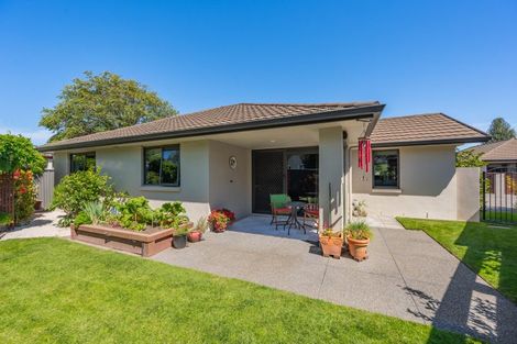Photo of property in 5/31 Te Aute Road, Havelock North, 4130