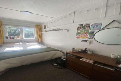 Photo of property in 6 Semeloff Terrace, Aro Valley, Wellington, 6021