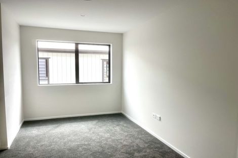 Photo of property in 17 Cyperus Street, Flat Bush, 2019