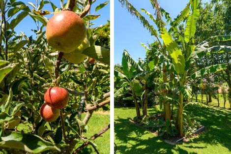 Photo of property in 10 Phillips Drive, Oropi, Tauranga, 3173