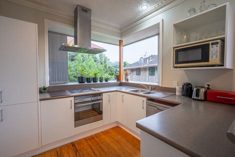 Photo of property in 106a Bedford Street, Saint Clair, Dunedin, 9012