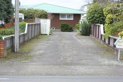Photo of property in 231a Mangorei Road, Merrilands, New Plymouth, 4312