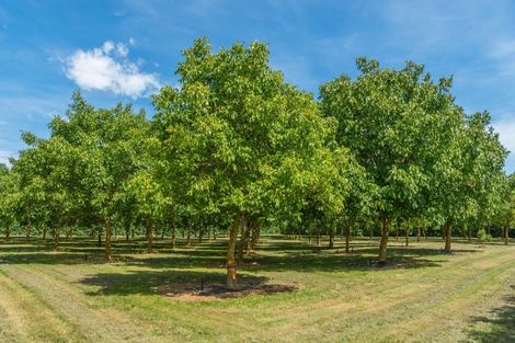 Photo of property in 973 Hoskyns Road, West Melton, Christchurch, 7671