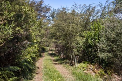 Photo of property in 375 Hot Springs Road, Tahawai, Katikati, 3178